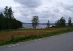11 km.