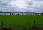 12 km.