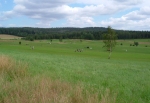 6 km.