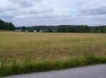 7 km.